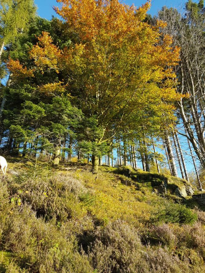 Freundliche Unterkunft Sauerland Meschede Eksteriør billede